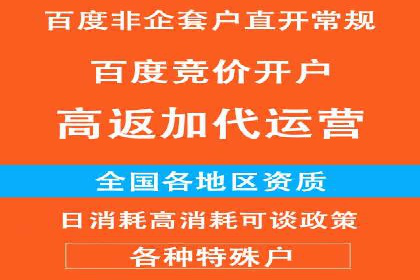 SEM运营推广策略：成功案例解析
